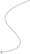 Decorative Shape